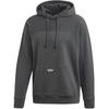 Originals R.Y.V. LG Hoodie With Drawstring Men Tops Grey FK3242