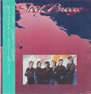 Виниловая пластинка STEEL BREEZE Steel Breeze RPL8189 RCA 1983 Япония Рок Б/у
