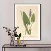 Винтажные ботанические постеры, холст, живопись и принты, классическая настенная картина для гостиной, офиса, домашнего декора, без рамы, подарок