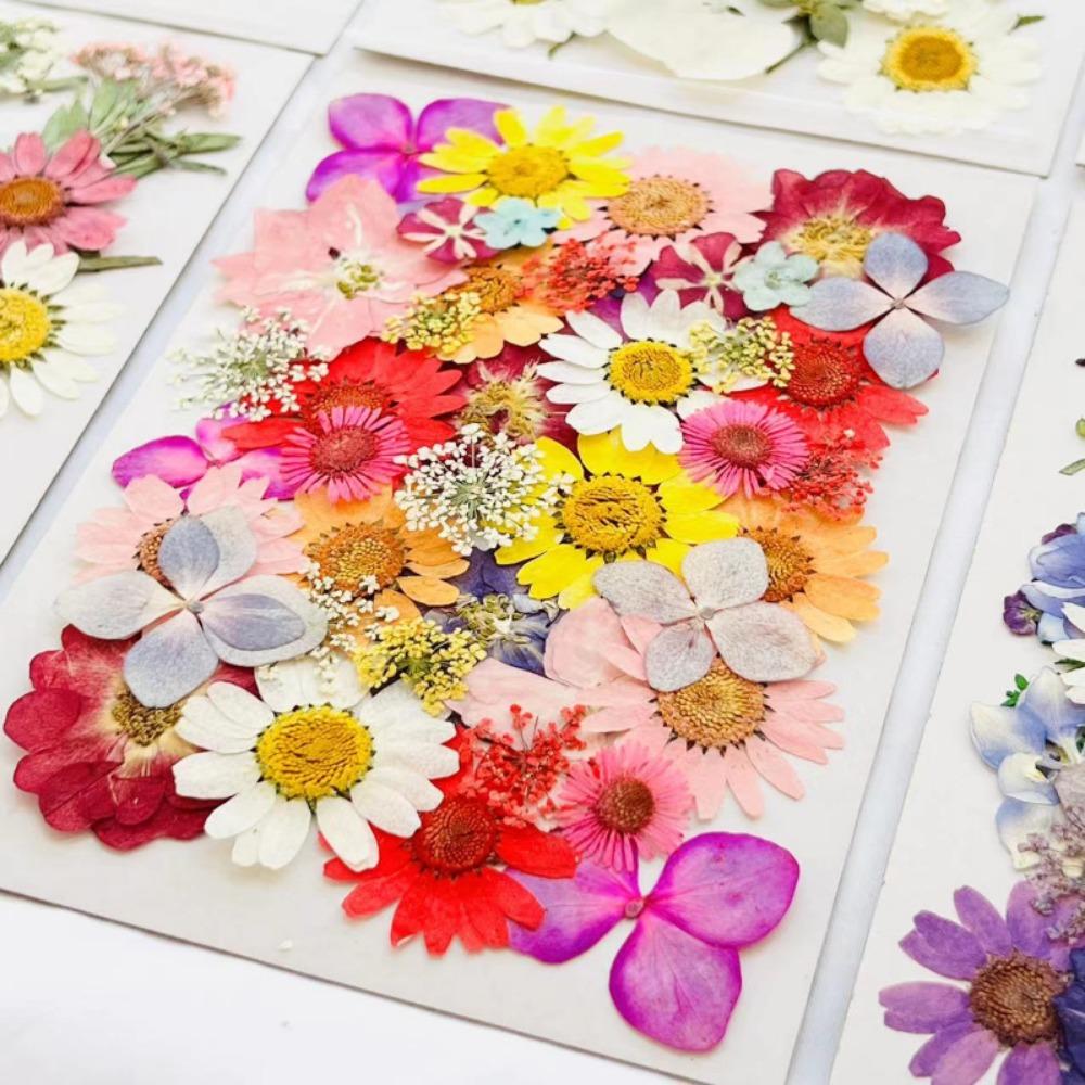 Natural Herbs Kit Dried Pressed Flowers Real Pressed Flowers Dry Leaves Bulk for Scrapbooking DIY Art Crafts Epoxy Jewelry Molds Soap Making