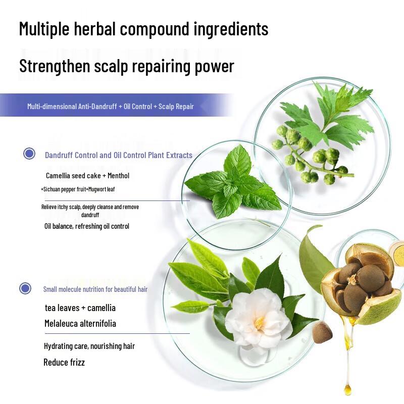 Cai Le Selenium Disulfide Anti-Dandruff & Oil Control Shampoo