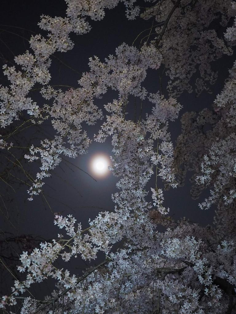 OM Micro Four Thirds Lens DIGITAL ED 30mm Macro SYSTEM/OLYMPUS M.ZUIKO F3.5