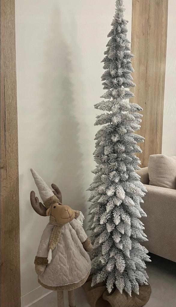 Ch. Slim Snow160Cm