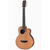 Acoustic Guitar aNueNue BIRDGUITAR aNN-M60 Acoustic Guitar