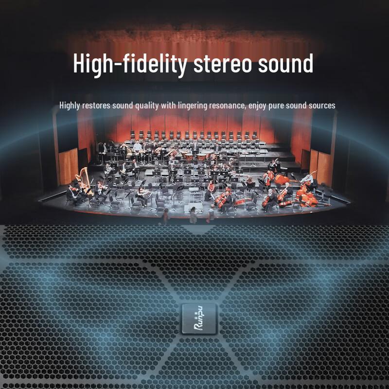 Runpu RP-SY-XF1020 Professional Dual 10-Inch Conference Speaker (CN version)