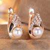 Elegant Feather Imitation Pearl Drop Earrings for Women Luxury Gold Color Angel Wings Zircon Earrings Wedding Party Jewelry Gifts