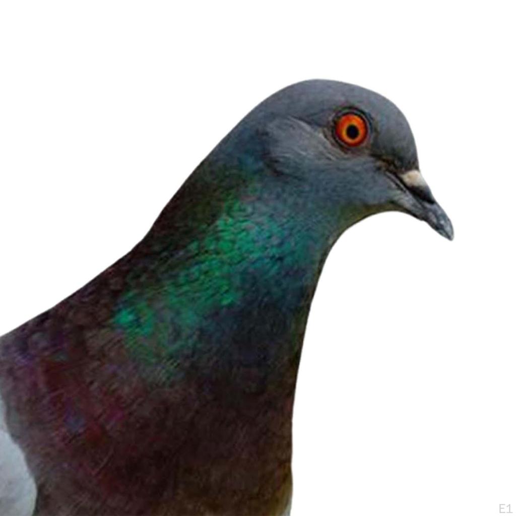 Elegant Bird Statue Garden Ornament for Outdoor Decor