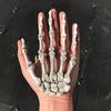 Game Supplies Party Decoration Haunted House Skull Hand Halloween Props Photo Props Human Skeleton