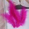 50PCS Natural Plumes 10-15cm Feather Plume Fluffy Wedding Dress DIY Jewelry Decor Accessories Feathers