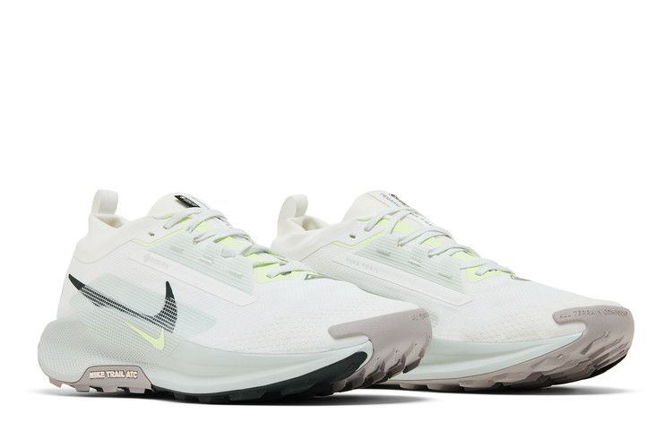 Nike Pegasus Trail 5 Gore-Tex Summit White Light Silver College Grey S