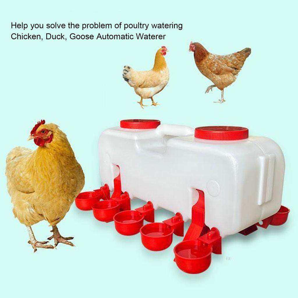 Поилка для птицы Герметичная Автоматическая Поилка для кур Прочная ПП Гигиеничная Эргономичная ручка Самозаполняющаяся с 10 чашками-поилками для фермы