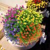 Flowers Artificial Bundle Outdoor Artificial Resistant Faux Plastic Shrubs Plant