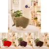 Charming Alpaca Plush Doll Toy Delightfully Crafted As A Small Sheep Stuffed Animal