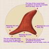 Wooden Massage Tool Gua Sha Trigger Point Wood Therapy  Back Leg Hand Face