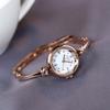 Women's watch, genuine steel band braceletsmall dial, Korean style, trendy, fashionable, simple analog watch, new women's watch.