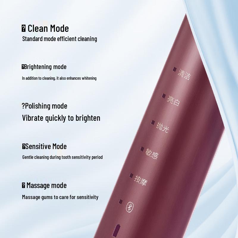 FLYCO Smart Bluetooth Sonic Electric Toothbrush FT7205