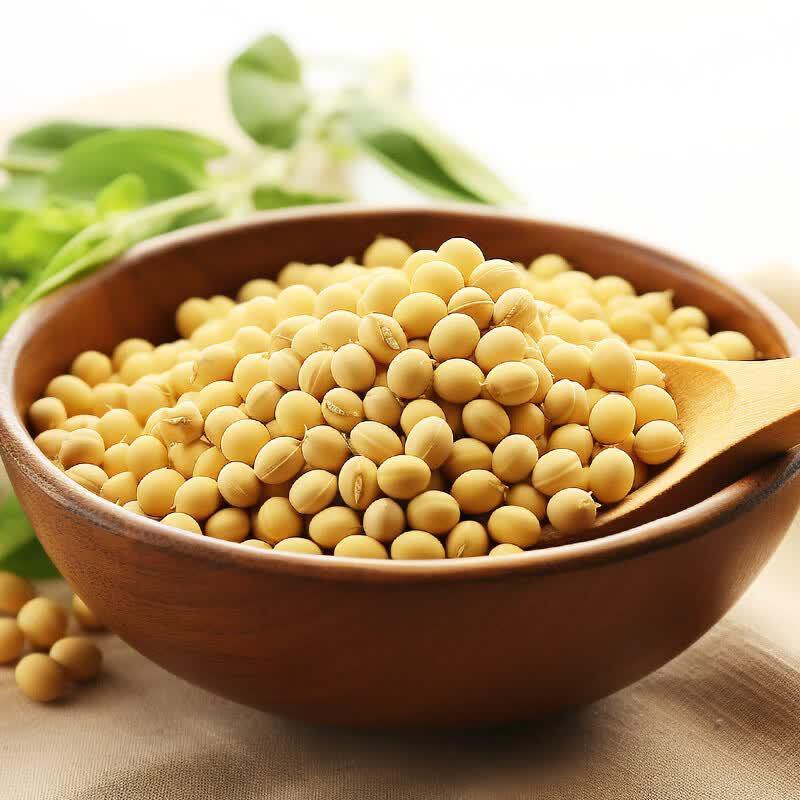 Mimei Non-GMO Ancient Pressed Soybean Oil
