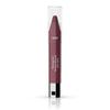 Moisture Smooth Color Stick 80 Rich Raisin, 1 шт.