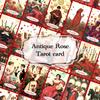 [Officially Imported, Limited Quantity] Antique Rose Tarot Antique Rose Tarot Cards [Tarot]