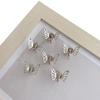 20Pcs Mini Metal Butterfly Hair Claw Clips, Hollow Small Butterfly Hair Grips, Cute Side Bangs Braids Hair Clips for Women Girls Hair Accessories