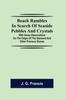 Книга Beach Rambles In Search of Seaside Pebbles and Crystals With Some Observations On the Origin of the Diamond and Other Precious Stones