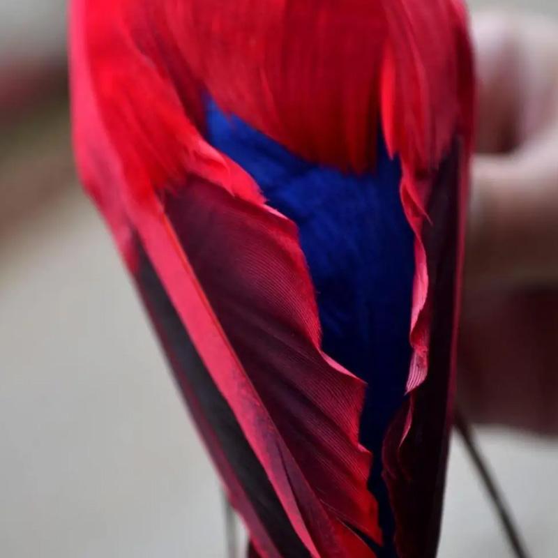 1 шт., фигурка животного, птицы, пера, сделай сам, креативная, для газона, украшение, ручная работа, садовый реквизит, украшение, имитация попугая 25/35 см