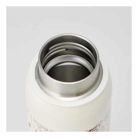 Skater Carbonated Beverage Compatible Vacuum Insulated Stainless Steel Bottle, 500ml, Direct Drink,