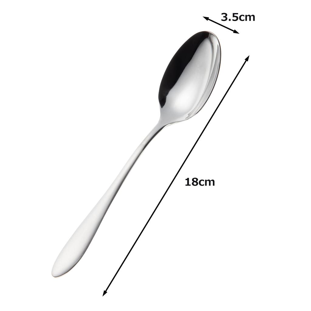 Nagao Tsubamesanjo Dinner Spoon Set of 12 Stainless Steel Made In Japan 18-0
