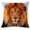 Tiger Lion Pillowcase Home Decor Geometric Pillowcase Sofa Animal World Portrait Cushion Cover