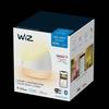 WiZ портативный настольный светильник Wi-Fi цветной SQUIRE Wi-Fi 22-65K, Белый