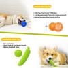 Dog Toys 25 Pack for Puppy Chewing and Teeth Cleaning, Plush Toys, Squeaky Balls, Tug o War, Rope Toys for Small Dogs