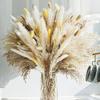 Source Yunnan Dried Flower Bouquet Combination, Real Flower Pampas Grass Home Decoration Reed Rabbit Tail Grass Dried Flowers