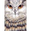 Мультфильм DIY 5D алмазная живопись наборы для вышивки крестом Сова животное полная круглая дрель горный хрусталь мозаика Алмазная вышивка домашний декор