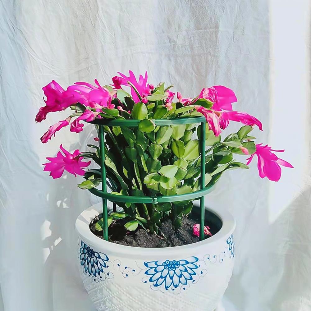 4/6/8 шт./набор опор для растений, стойка для цветов, опора для растений, садовые инструменты для бонсай, садовый кронштейн