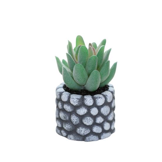 Desktop Ornament Simulation Bonsai No Watering Practical Artificial Succulents Plant