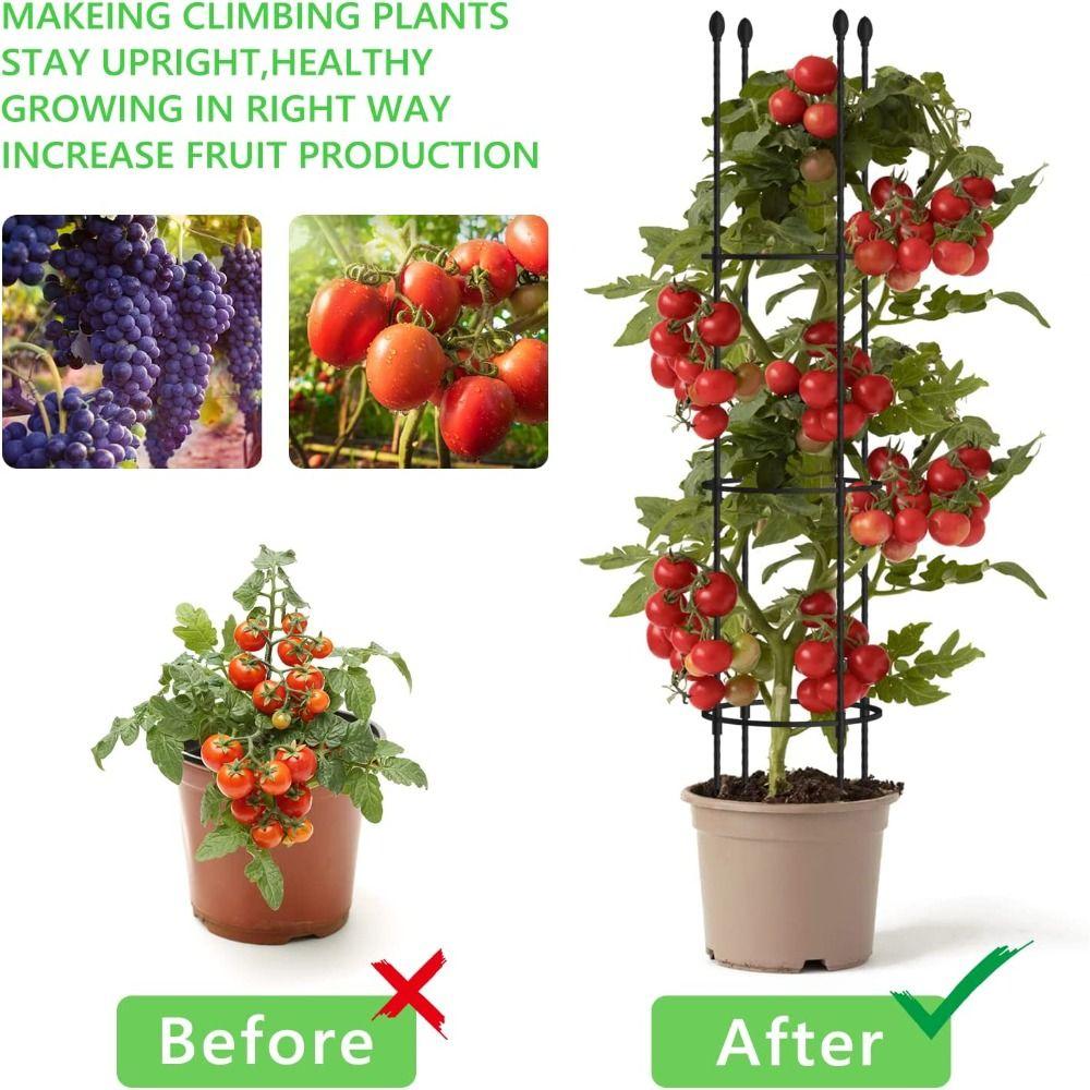 Бесконечно сращиваемая решетка для поддержки растений Штабелируемая решетка для роз Садовая решетка в помещении