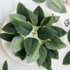 50/100 ШТ Искусственные Растения Листья Розы Декор Домашней Комнаты Стола Венок Свадебные Свадебные Аксессуары Головной Убор Брошь Подарочная Коробка Сделай Сам