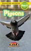 Книга Pigeons : Animals In the City (Engaging Readers, Level Pre-1) : 5