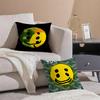 Роскошная наволочка для подушки Luxury Smile C-Cpfm, защита от пылевых клещей, невидимая молния, шелковистая короткошерстная наволочка для диванной подушки