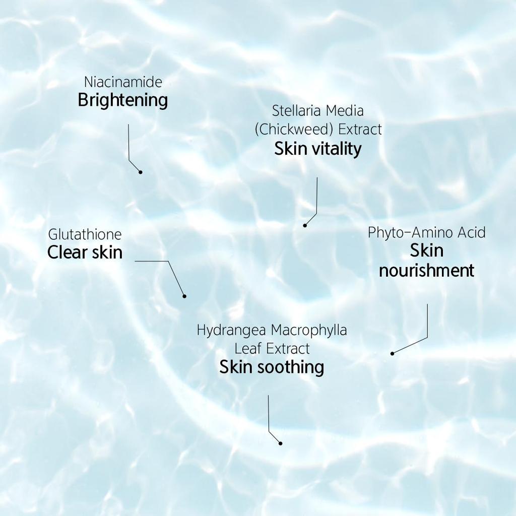 NACIFIC Осветляющий тонер-диск Phyto Niacin 160 мл 80 шт., охлаждающий, увлажняющий