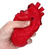(H0915)Novelty Silicone Stress Ball Scary Organ Heart Squeeze Toy Stress Reliever Toy
