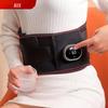 Aux Heating Waist Massager with Vibration and Mugwort Therapy