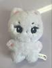 [USED] ENHYPEN Jungwon Doll 10cm Master Yangcomi