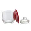 Glass Overnight Pickling Device S Red Multi GTK-S-R