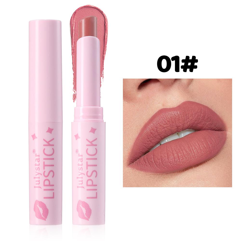 Brown Matte Velvet Lipstick for Makeup 8 Colors Waterproof Matte Contour Tint Lipstick Pen Long Lasting Sexy Pink Red Lip Glaze