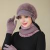 3 шт./комплект для женщин среднего возраста, зимняя шапка, шарф, перчатки, комплект, толстая вязаная защита ушей