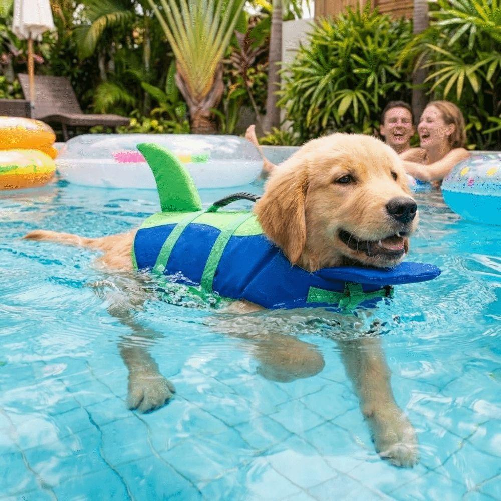 Superior Buoyancy Pet Life Jacket Shark Shape Dog Swimming Suit Dog Life Vest Water Safety
