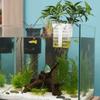 Extendable Hook Aquatic Plant Holder Versatile Plant Cultivation Rack  Plant Cultivation