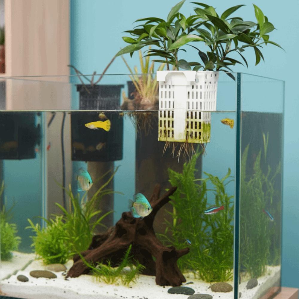 Extendable Hook Aquatic Plant Holder Versatile Plant Cultivation Rack  Plant Cultivation