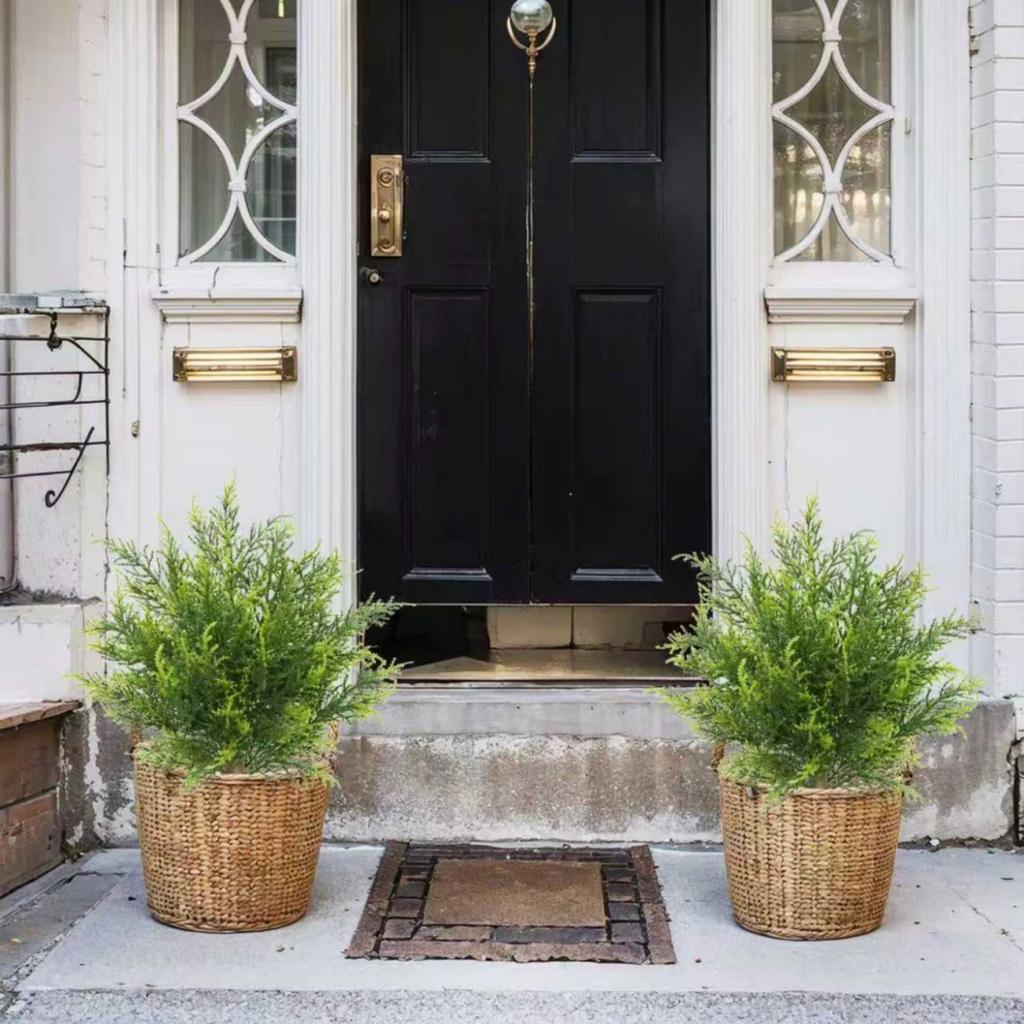 2pc Simulation Of Indoor And Outdoor Potted Plants